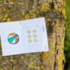 Bewegend leren groep 1-2 - De Beweegbox