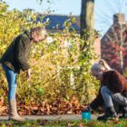 de beweegbox tennisballen speelbeker