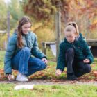 beweegbox houten dobbelstenen